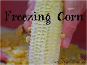 FreezingCornSGC