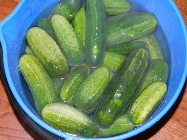 Sweet Pickles