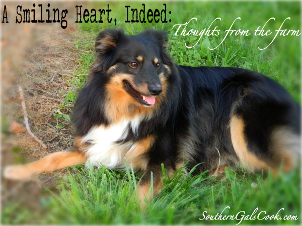 A Smiling Heart, Indeed: SouthernGalsCook.com