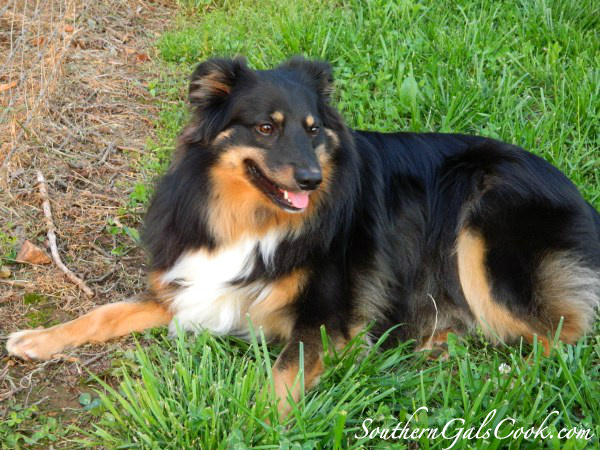 A Smiling Heart- SouthernGalsCook.com