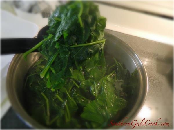 Roots- A Brief History Lesson on Southern Cuisine