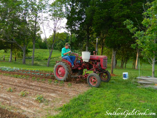 A Smiling Heart- SouthernGalsCook.com