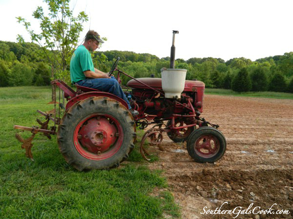 A Smiling Heart- SouthernGalsCook.com