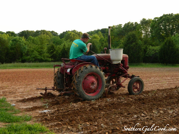 A Smiling Heart- SouthernGalsCook.com