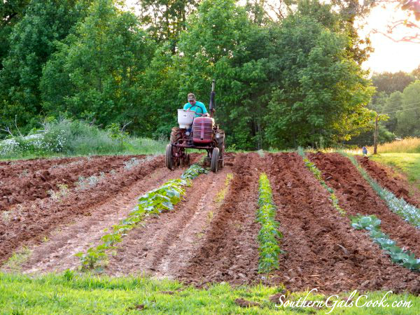 A Smiling Heart- SouthernGalsCook.com