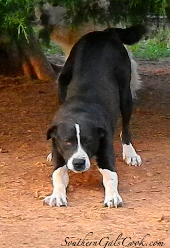 A Smiling Heart- SouthernGalsCook.com