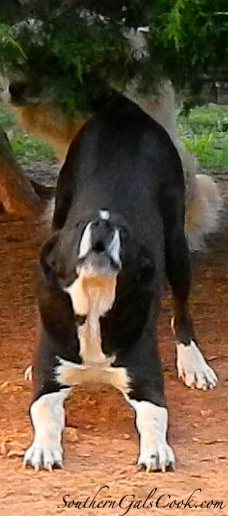 A Smiling Heart- SouthernGalsCook.com