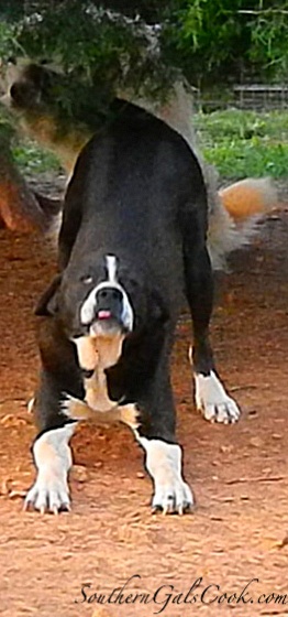 A Smiling Heart- SouthernGalsCook.com