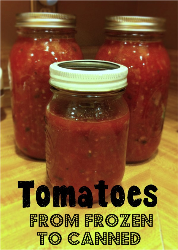 Tomatoes: From Frozen to Canned- SouthernGalsCook.com